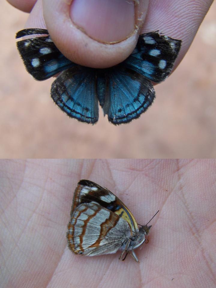 FIGURE 2 FIGURE 2